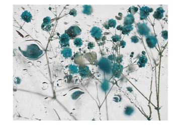 明信片 照片 – 聚焦 – 三張組