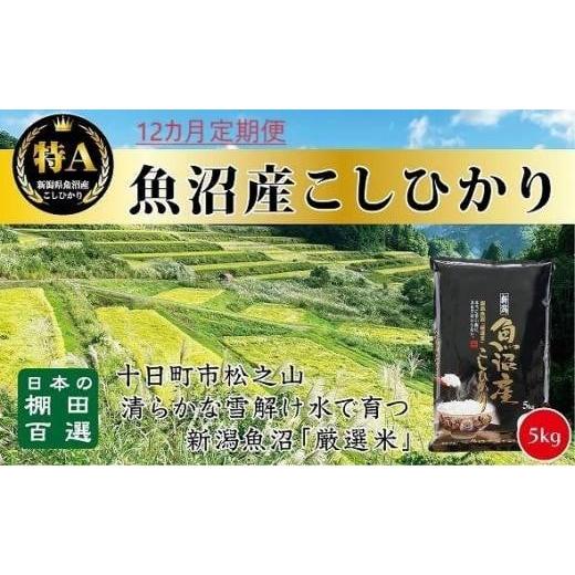 ふるさと納税 新潟県 十日町市 「12カ月定期便」日本棚田百選のお米　天空の里・魚沼産こしひかり　５ｋｇ×１２回