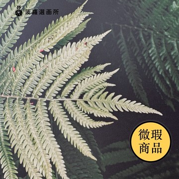 【福利品】森森之意 - 植物攝影/大自然/客廳裝飾/邊櫃擺設/走廊裝飾