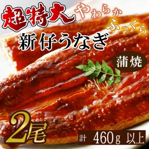 AD-95　やわらか新仔うなぎ超特大蒲焼230～250ｇ　2尾　計460ｇ以上