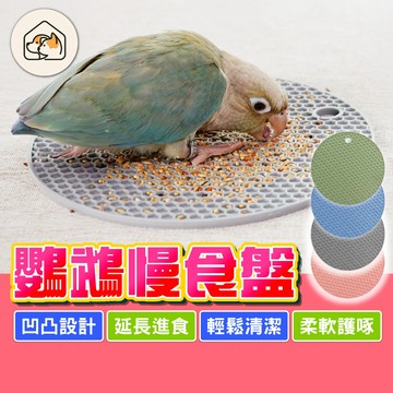 《家有毛孩🐾》鸚鵡慢食盤 蜂窩慢食墊 覓食慢食墊 鸚鵡餵食盤 鳥飼料盤 慢速進食墊 鳥用餐具 鳥用覓食盤 益智玩具 鳥用