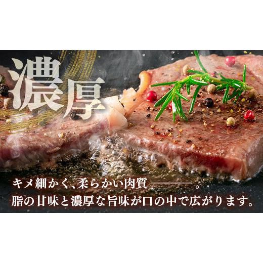 ふるさと納税 宮崎県 新富町 ブランド牛「黒毛和牛ひなた」ロースステーキ 計540g（180g×3枚）