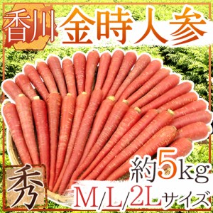 香川県 ”金時人参” 秀品 M L 2L 約5kg 送料無料