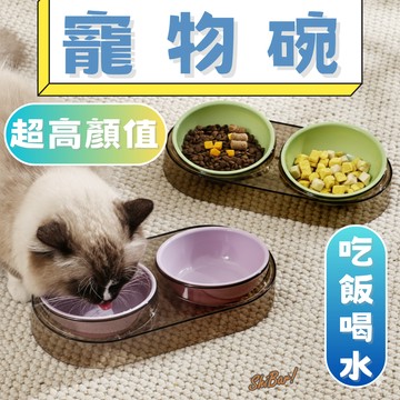 （雙碗🔥多用途）寵物碗 貓碗 狗碗 寵物雙碗 貓飼料碗 分離式 寵物餵食器 護頸貓碗 護頸寵物碗 水碗 飼料碗 高雄