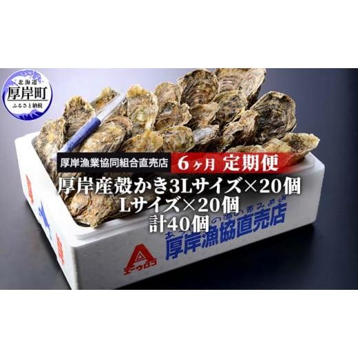 ふるさと納税 北海道 厚岸町 定期便 6ヶ月 北海道 厚岸産 牡蠣 3L 20個 と L 20個 ひと月あたり40個お届け (各回40個×6ヶ月分,合計240個) 殻付き 生食 かき …