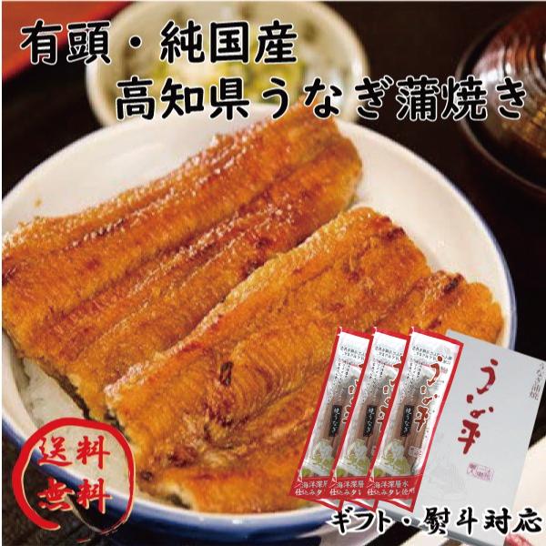 土用の丑の日　高知　国産　鰻　蒲焼　3尾セット　贈り物 ギフト 内祝 御歳暮 御中元 高知　特産品