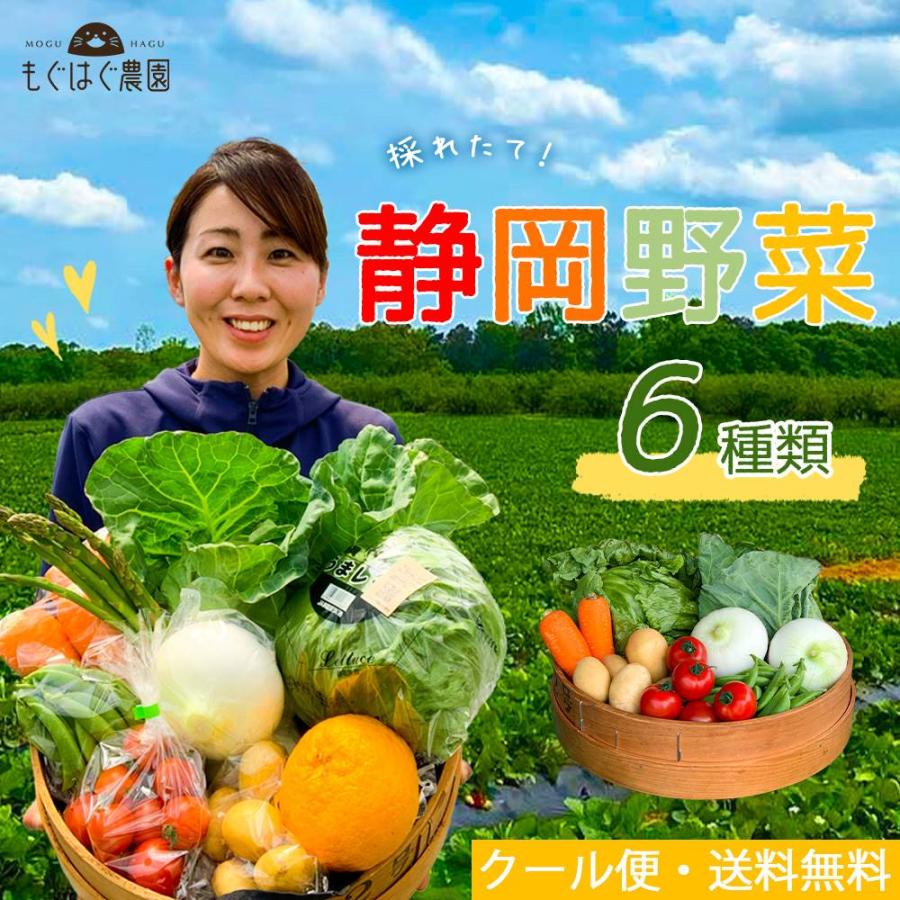 採れたて！ 静岡 野菜セット A 6品目 農家直送 産地直送 お試し お取り寄せ 旬野菜 新鮮 詰め合わせ