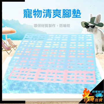 【台灣出貨】兔子腳墊 防啃咬 荷蘭豬 龍貓 兔兔籠 底板 寵物塑料墊子 漏屎網格墊 小寵腳墊 耐啃咬 易清潔