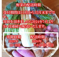 たくみのほほ笑みセット（季節の野菜おまかせ７種）　＜出荷開始：2024年7月1日～2024年11月30日まで＞