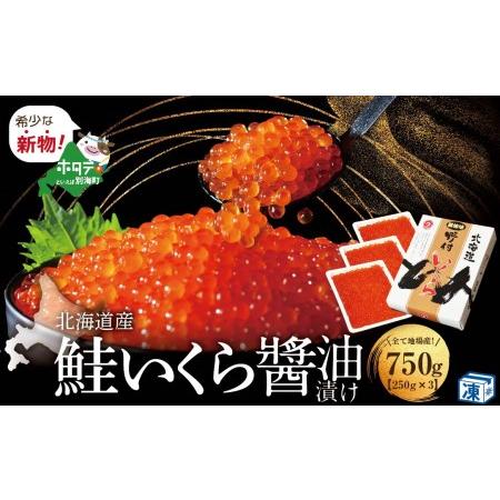 ふるさと納税 漁協から直送！ いくら醤油漬け 750g！ （ いくら イクラ 鮭卵  醤油漬け 北海道 野付 人気 ふるさと納税  ） 北海道別海町