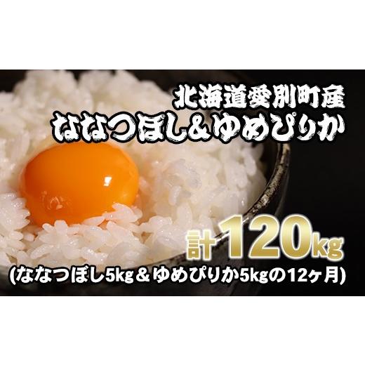 ふるさと納税 北海道 愛別町 愛別町産米（ななつぼし5kg＆ゆめぴりか5kg）12ヶ月定期配送