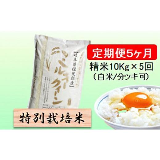 ふるさと納税 岐阜県 池田町 令和５年産　特別栽培米★[定期便] 5カ月★毎月 精米10kg（白米／5分／7分ツキ可）  玄米は別に出品 [No.564…