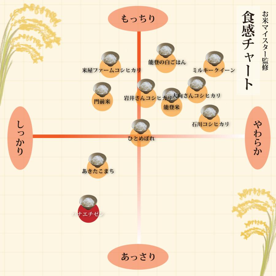 玄米 ハナエチゼン 5kg 石川県産 3分 5分 7分 選択可 5キロ 令和5年産 新米