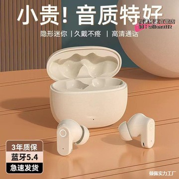 【台灣現貨】德國柏林之聲2024新款無藍耳機降噪高音質高顏值運動超長續航