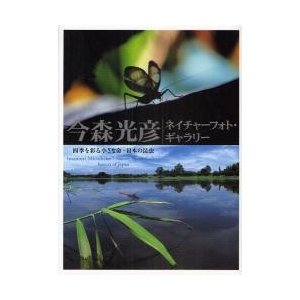 今森光彦ネイチャーフォト・ギャラリー　四季を彩る小さな命・日本の昆虫   今森　光彦　著