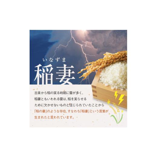 ふるさと納税 栃木県 真岡市 真岡市のおこめアドバイザー泉 智が厳選！令和5年度新米！真岡産・栃木県産コシヒカリ食べ比べセット 真岡市 栃木県 …