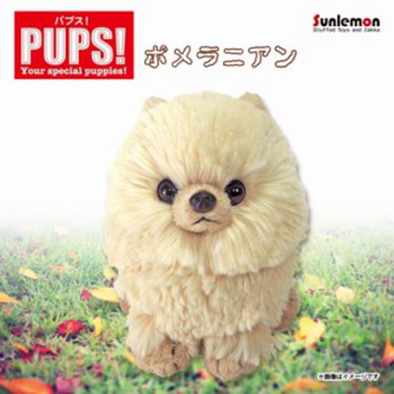 ぬいぐるみ 犬 パプス ポメラニアン ベージュ P 5962 Pups Sサイズ お座り ねそべり サンレモン 通販 Lineポイント最大1 0 Get Lineショッピング