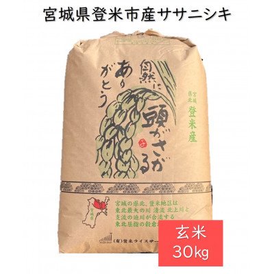 ふるさと納税 登米市 令和5年産　宮城県登米市産ササニシキ(玄米)30kg