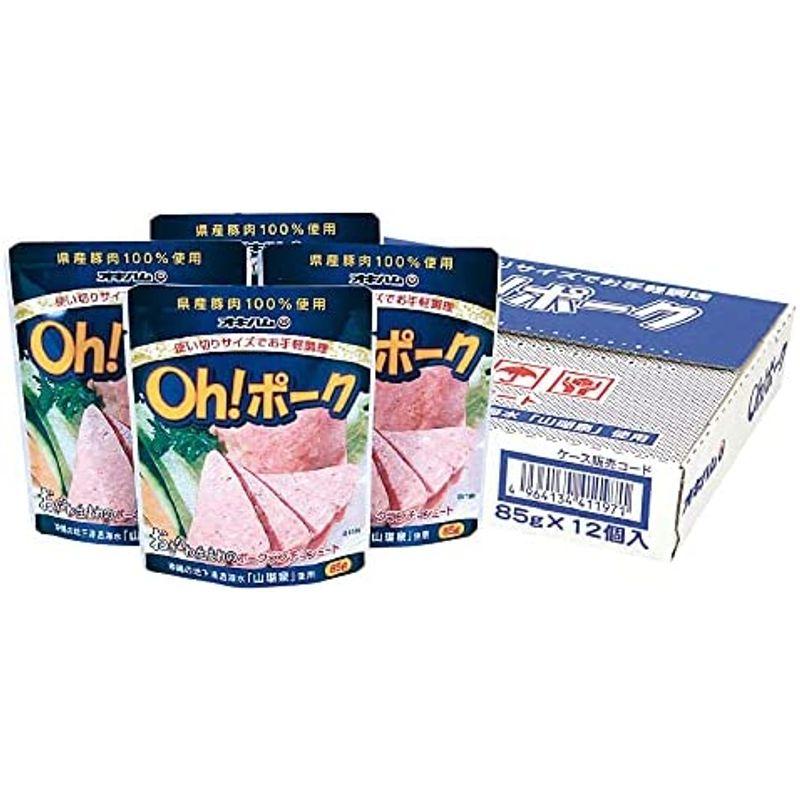 ギフト Oh ポーク スタンド12点セット H-19 オキハム 沖縄県産豚肉100％使用 沖縄料理に欠かせないポークランチョンミートを便利な