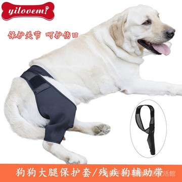 寵物腿部受傷固定護具狗術後保護套殘疾狗狗輔助帶防舔光節炎恢複