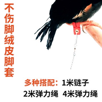 鳥腳鏈 鸚鵡腳鏈鳥鏈超輕虎皮牡丹玄風輕型防逃脫遛鳥紅嘴藍鵲不傷腳皮套『XY11654』