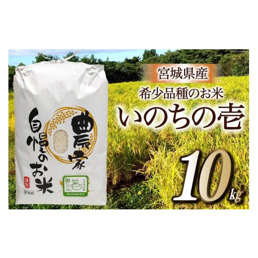 ふるさと納税 宮城県 気仙沼市 米 いのちの壱 10kg ／ ティエスサービス ／ 宮城県 気仙沼市 [20562173] 米 お米 精米 白米 ごはん ご飯