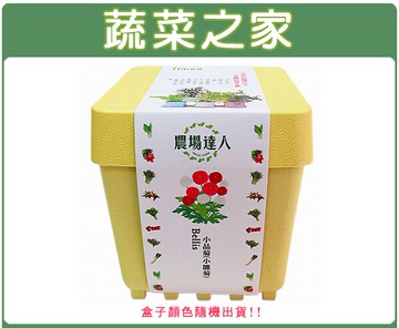 【蔬菜之家004-D07】iPlant小農場系列-小品菊