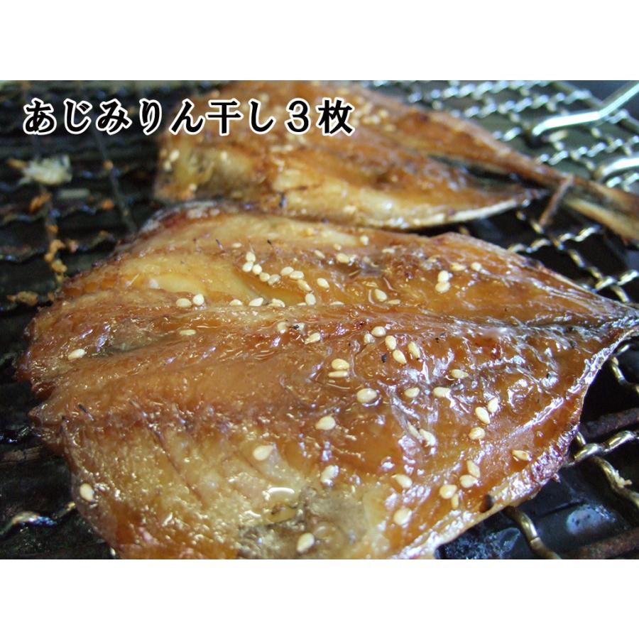 干物 ひもの 伊豆 海産物 伊豆の極 8種17品 詰め合わせ セット あじ 金目鯛 姿煮 お歳暮 お年賀 お礼 お中元 父の日 母の日 敬老の日 ギフト