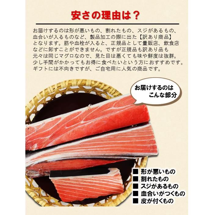 マグロ まぐろ 訳あり 天然本マグロ訳ありトロ 1kg