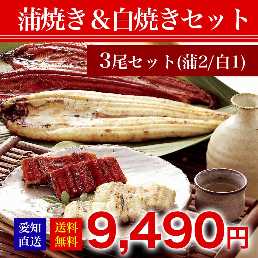 愛知県産特選うなぎ蒲焼き＆白焼きセット　3尾セット(蒲2 白1) 　土用の丑の日　2023　ギフト　国産　 ウナギ 鰻 お取り寄せ 人気　お祝　お歳暮　お中元