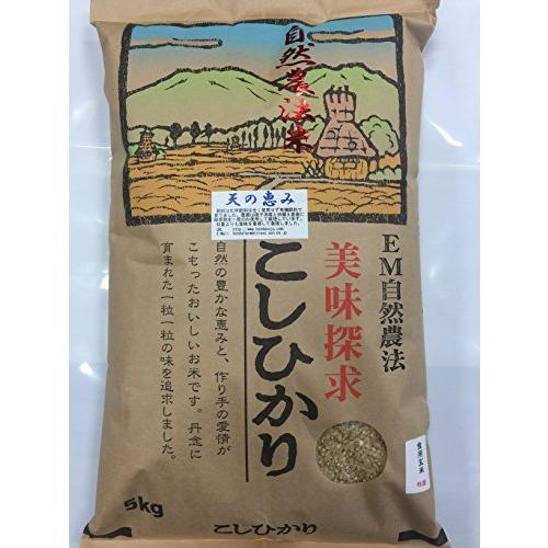 令和元年産 新米 石川県産 自然農法米 こしひかり 「天の恵み」 食用玄米 5kg