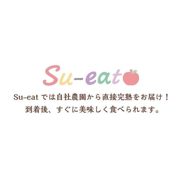 11月上旬〜中旬　サンふじ　訳あり 長野産 りんご 減農薬 5キロ