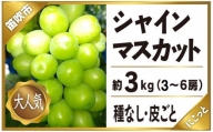 ＜2024年先行予約＞シャインマスカット 3〜6房 約3.0kg ※沖縄県・離島は発送不可 097-014