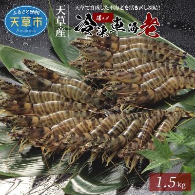 ふるさと納税 天草市 活き〆冷凍車海老 1.5kg (500g×3パック)_S065-004A