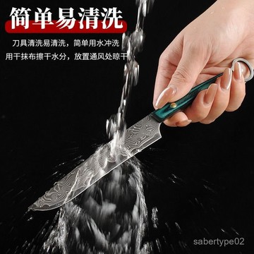 店鋪熱銷日本AUS10鋼芯正品37層大馬士革鋼水果刀家用切刀剔骨割刀具 Q8BB
