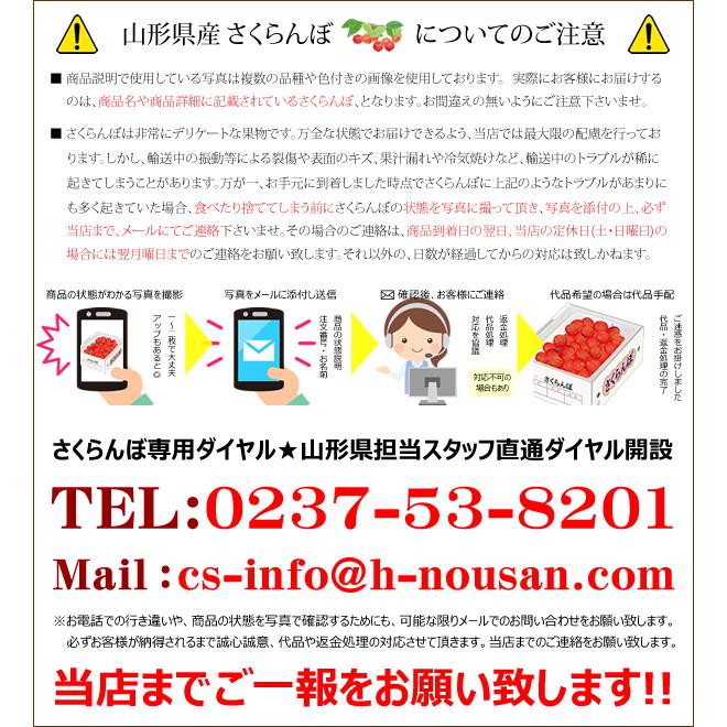 山形県 GI 東根さくらんぼ 佐藤錦 1kg (秀品 Lサイズ ばら詰め 500g×2p 化粧箱入り) お中元 ギフト 贈り物 プレゼント 送料無料 お取り寄せ