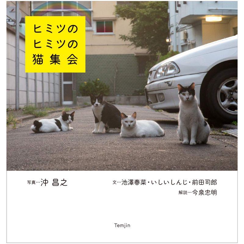 ヒミツのヒミツの猫集会