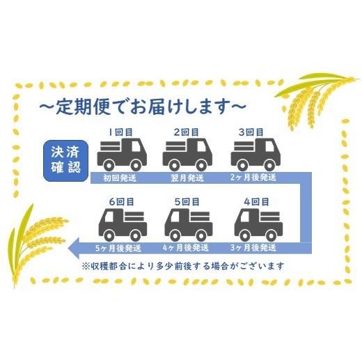 ふるさと納税 熊本県 和水町 熊本県産「ひのひかり」10kg