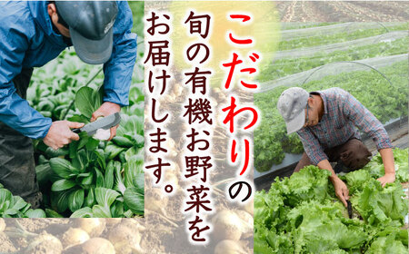 新米 有機米 2kg 旬の野菜 5種セット 詰め合わせ 野菜詰め合わせ 熊本県産有機野菜 山都町産有機野菜 産地直送 高原野菜 新鮮有機野菜 採れたて有機野菜 旬 有機野菜セット 有機野菜食べ比べ 九州産有機野菜 有機野菜 オーガニック[YAF007]