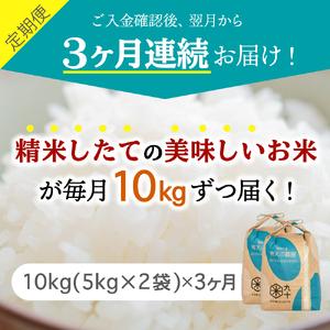 ふるさと納税  米 青天の霹靂 10kg 青森県産 （精米・5kg×2袋） 青森県五所川原市