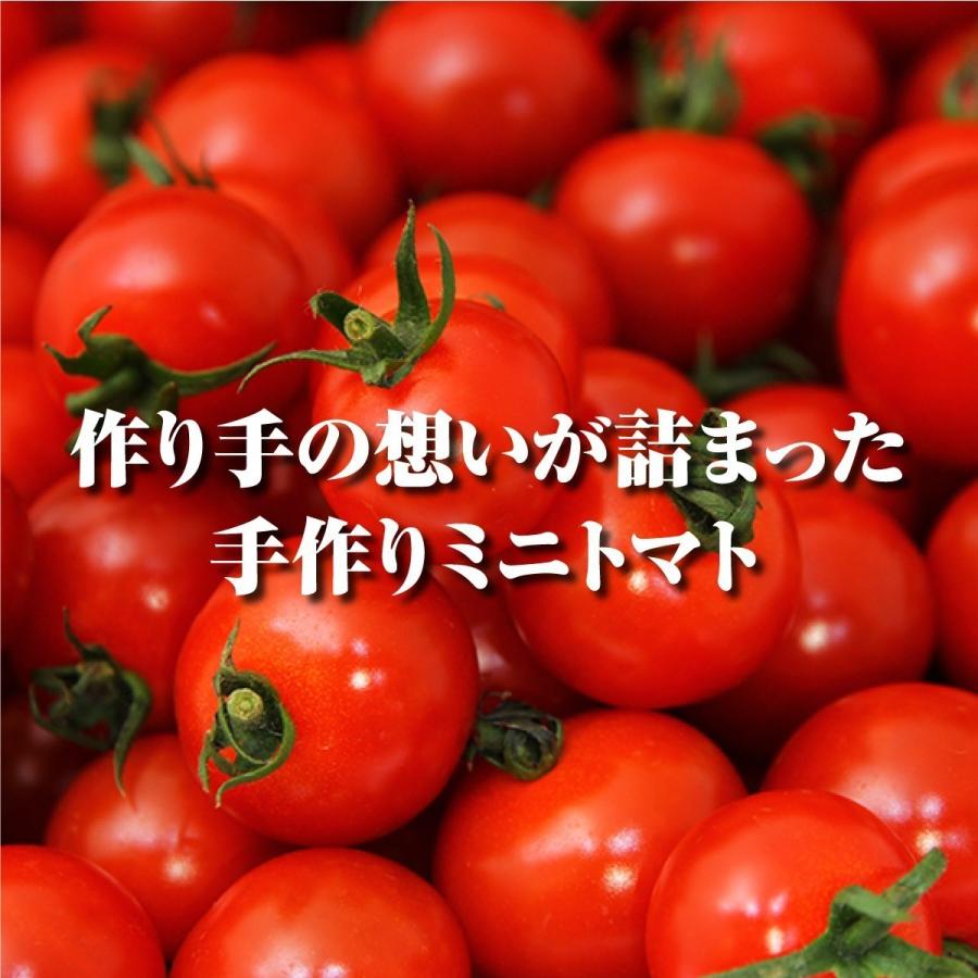 とまと  希少 な 高濃度 フルーツ トマト ソムリエ ミニトマト プラチナ３kg （１２０玉から２００玉）