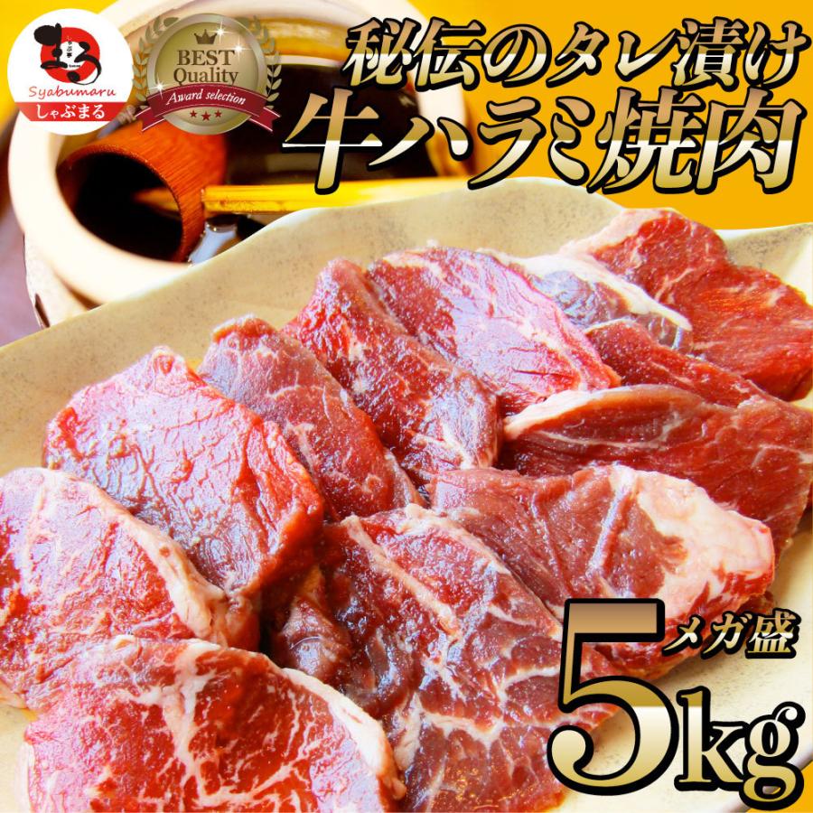 牛ハラミ焼肉（タレ漬け）5kg（250g×20） タレ 赤身 はらみ 秘伝 焼肉 やきにく ハラミ アウトドア お家焼肉 BBQ キャンプ キャンプ飯