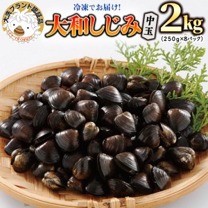 大和 しじみ 2kg (250g×8) 中玉 冷凍 砂抜き済 大洗町 ブランド認証品