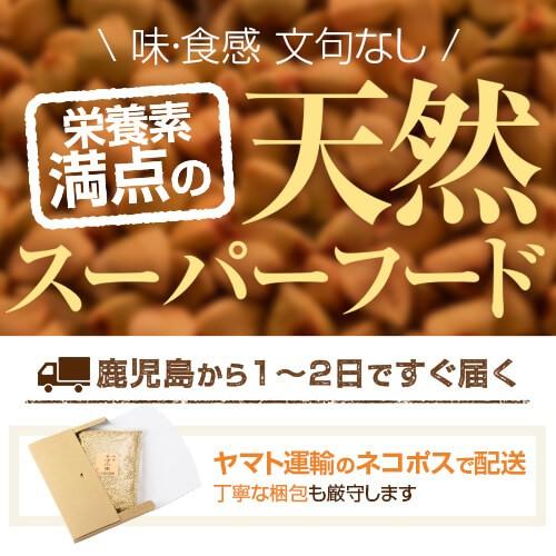 国産 そばの実 500g むき実 令和四年度産 2022年度産 新物 春そば 秋そば 期間限定 農薬不使用 無添加