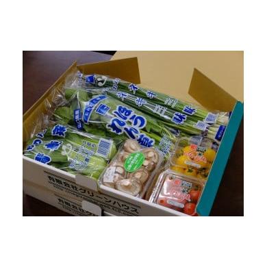 ふるさと納税 山口県 山陽小野田市 山陽小野田の野菜三昧（冬セット）