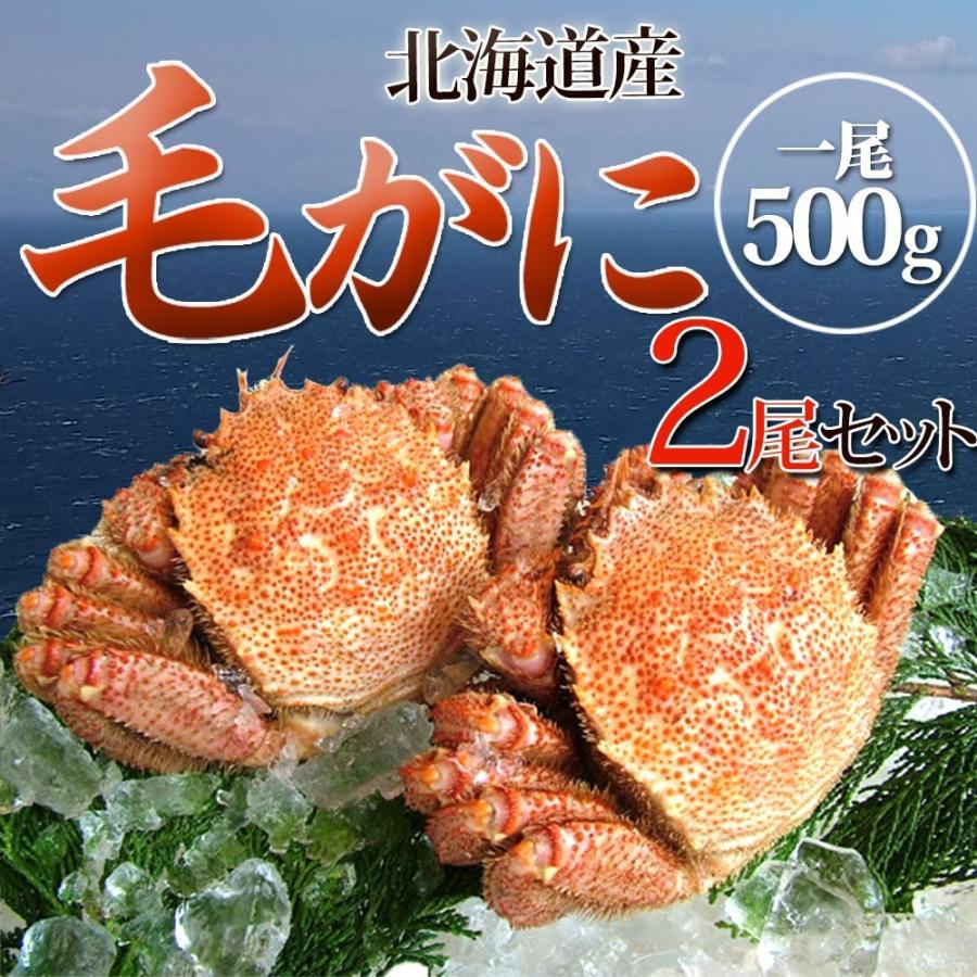 北海道 海鮮 毛がに姿 2尾（約500g×2）北海道産 味自慢 毛蟹 毛ガニ かに ボイル お取り寄せ 海産物 ギフト 冷凍 冬 ギフト