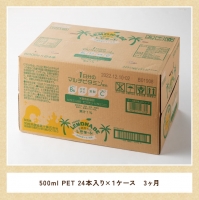 サンA 宮崎育ちのレモネードPET （500ml×24本）