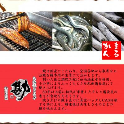 ふるさと納税 白浜町 国産うなぎ白焼2本セット