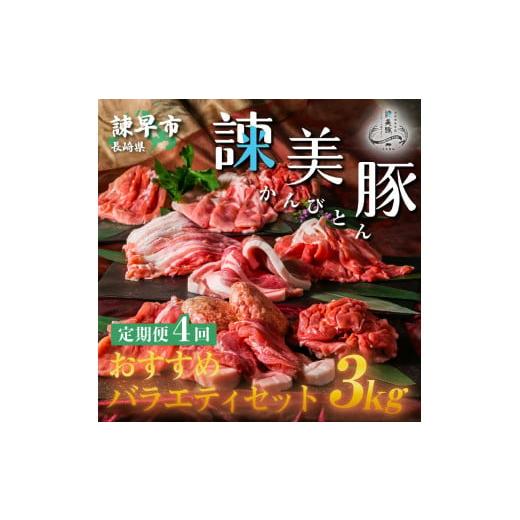 ふるさと納税 長崎県 諫早市 『定期便』_諫美豚(かんびとん)おすすめバラエティセット3kg_全4回