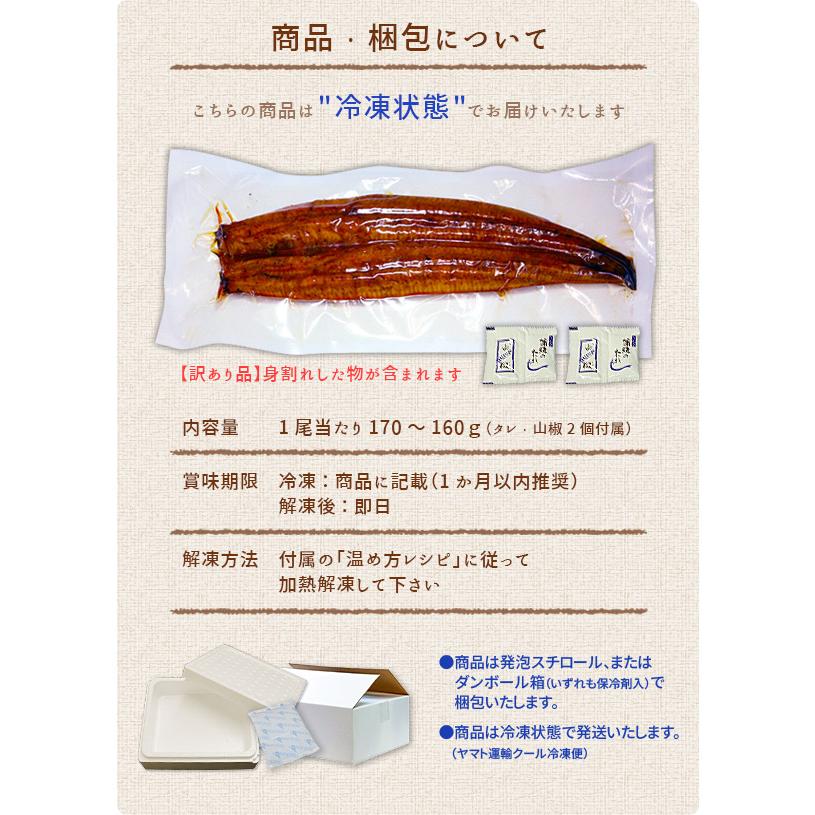 うなぎ ウナギ 国産 長蒲焼き160g〜170g×5尾 送料無料 訳あり セット《eel-ue1》〈ue1〉yd9[[ウナギ長蒲焼き-5p]